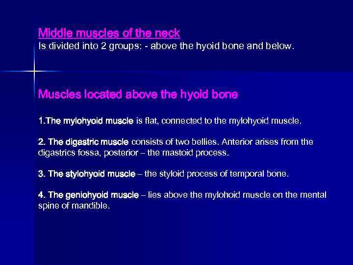 Middle muscles of the neck Is divided into 2 groups: - above the hyoid