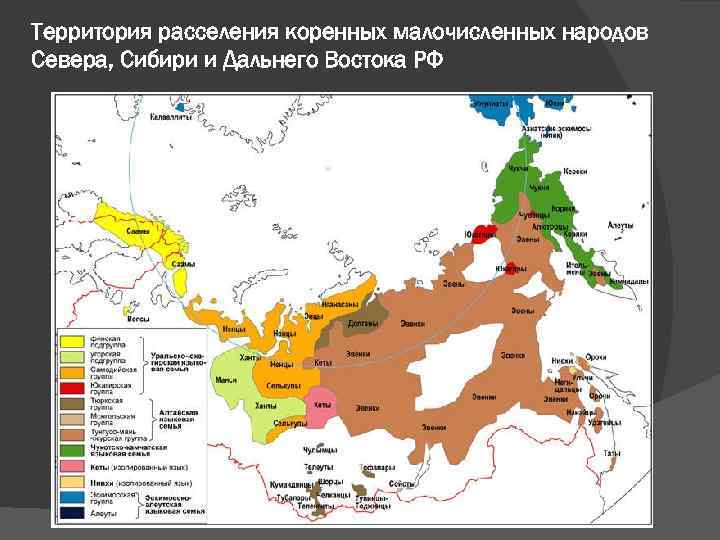 Территория расселения коренных малочисленных народов Севера, Сибири и Дальнего Востока РФ 