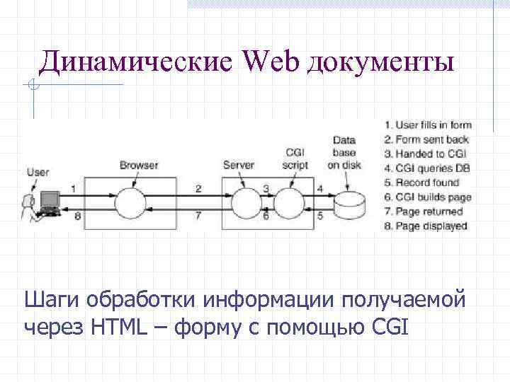 Динамические Web документы Шаги обработки информации получаемой через HTML – форму с помощью CGI