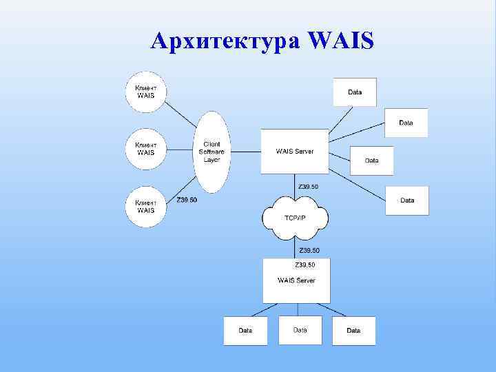 Архитектура WAIS 