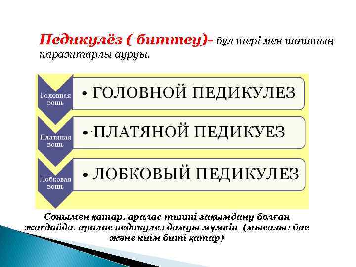 Педикулёз ( биттеу)- бұл тері мен шаштың паразитарлы ауруы. . Сонымен қатар, аралас типті