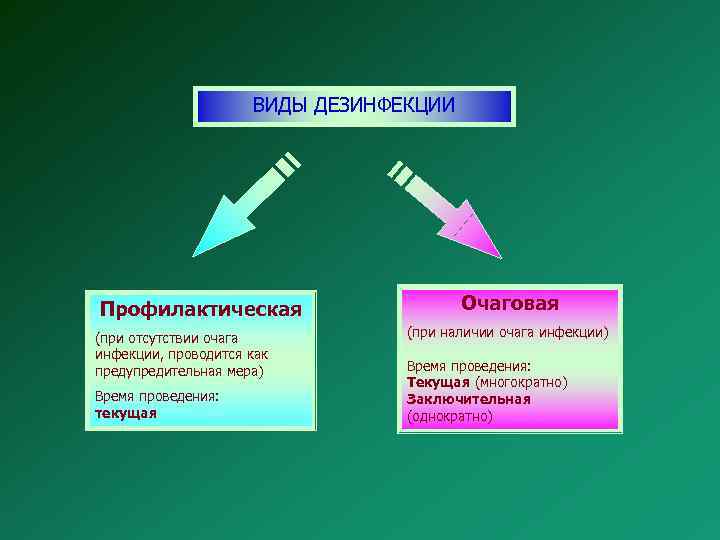 ВИДЫ ДЕЗИНФЕКЦИИ Профилактическая (при отсутствии очага инфекции, проводится как предупредительная мера) Время проведения: текущая