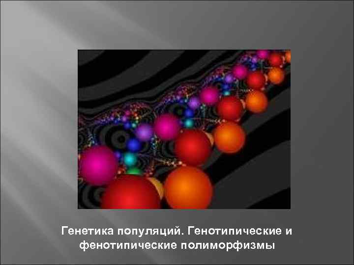 Генетика популяций. Генотипические и фенотипические полиморфизмы 