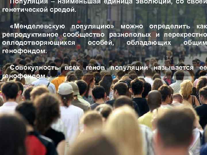 Популяция – наименьшая единица эволюции, со своей генетической средой. «Менделевскую популяцию» можно определить как