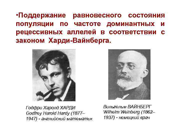  • Поддержание равновесного состояния популяции по частоте доминантных и рецессивных аллелей в соответствии