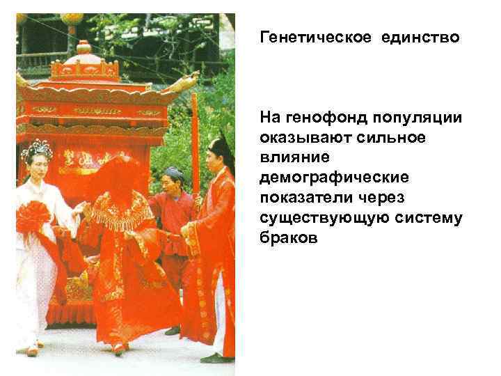 Генетическое единство На генофонд популяции оказывают сильное влияние демографические показатели через существующую систему браков