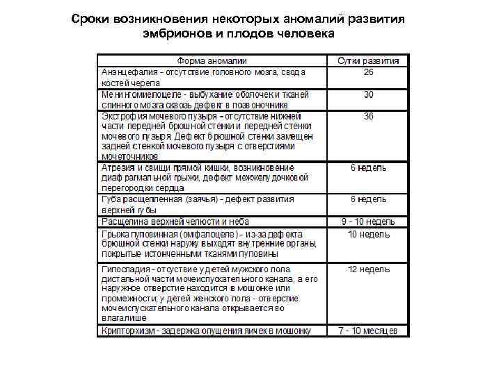Сроки возникновения некоторых аномалий развития эмбрионов и плодов человека 