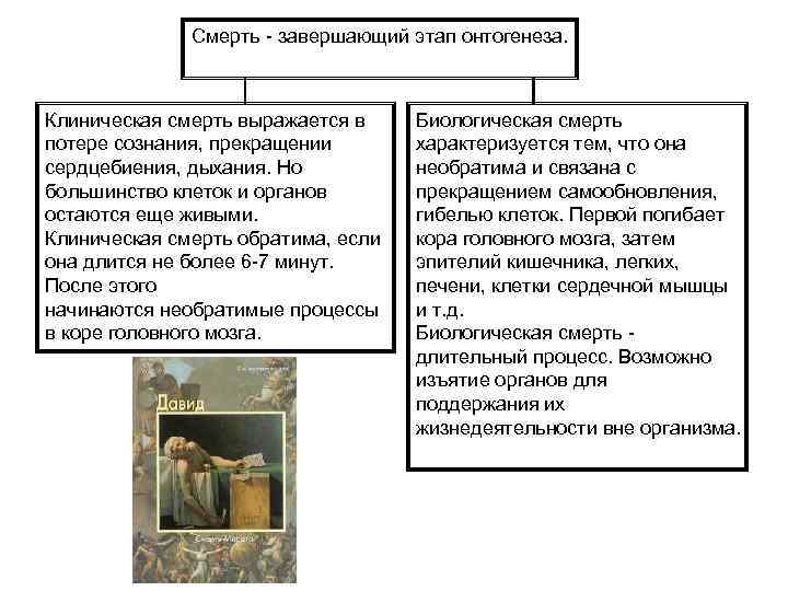 Смерть - завершающий этап онтогенеза. Клиническая смерть выражается в потере сознания, прекращении сердцебиения, дыхания.