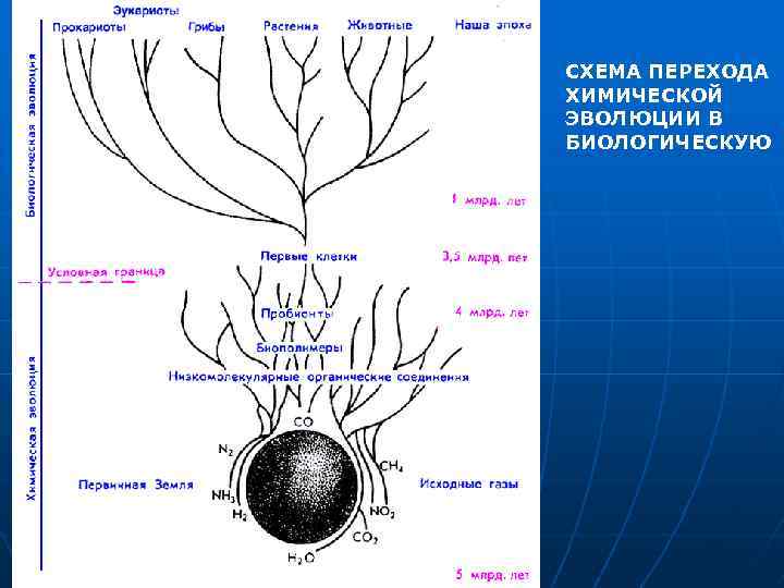 СХЕМА ПЕРЕХОДА ХИМИЧЕСКОЙ ЭВОЛЮЦИИ В БИОЛОГИЧЕСКУЮ 