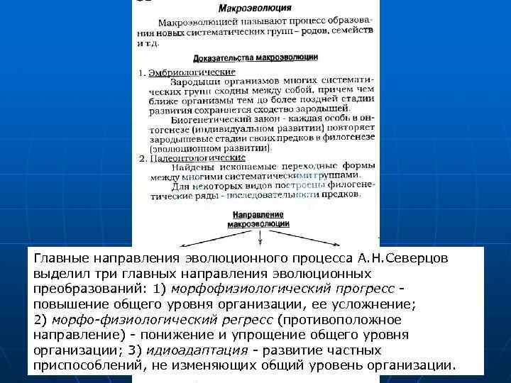 Главные направления эволюционного процесса А. Н. Северцов выделил три главных направления эволюционных преобразований: 1)