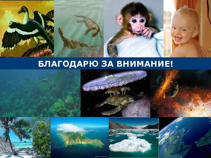 БЛАГОДАРЮ ЗА ВНИМАНИЕ! 