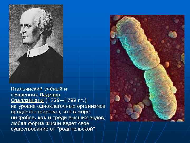 Итальянский учёный и священник Ладзаро Спалланцани (1729— 1799 гг. ) на уровне одноклеточных организмов