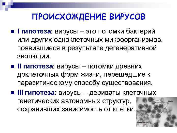 ПРОИСХОЖДЕНИЕ ВИРУСОВ n n n I гипотеза: вирусы – это потомки бактерий или других