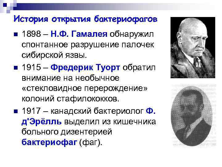 История открытия бактериофагов n n n 1898 – Н. Ф. Гамалея обнаружил спонтанное разрушение