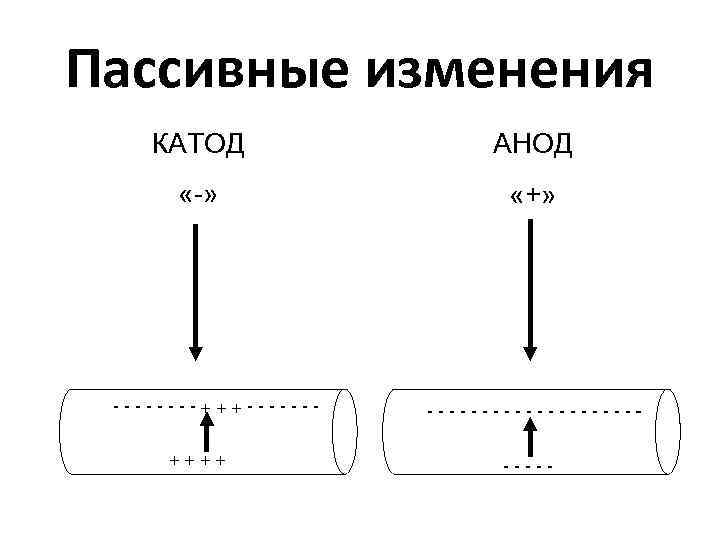 Пассивные изменения КАТОД АНОД «-» «+» ----------++++ ----- 