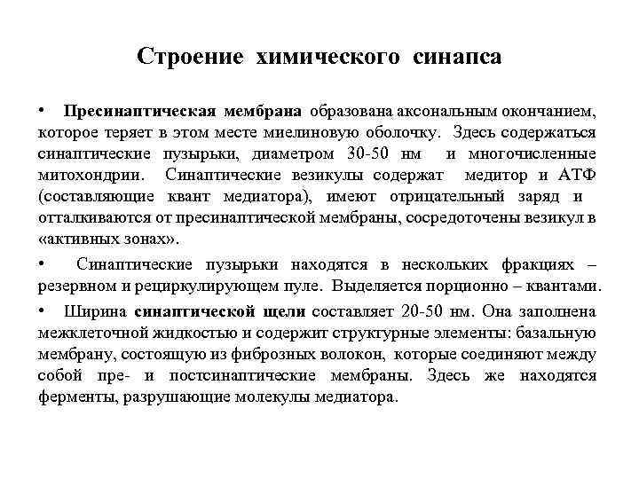 Строение химического синапса • Пресинаптическая мембрана образована аксональным окончанием, которое теряет в этом месте