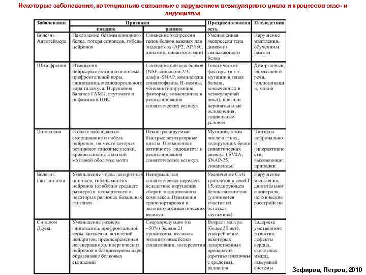 Некоторые заболевания, потенциально связанные с нарушением везикулярного цикла и процессов экзо- и эндоцитоза Зефиров,