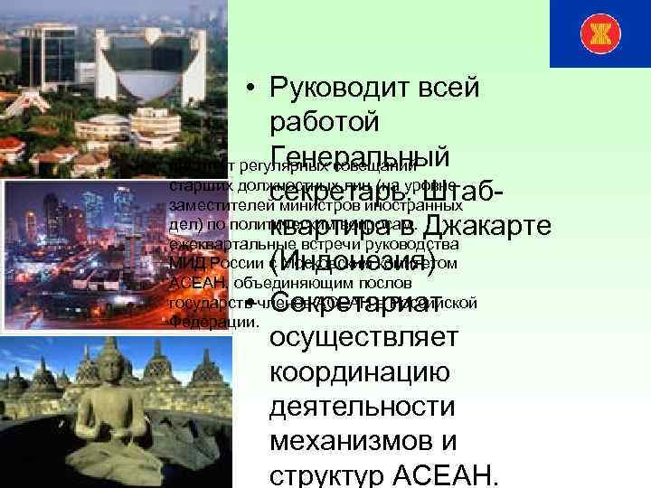  • Руководит всей работой Генеральный институт регулярных совещаний старших должностных лиц (на уровне