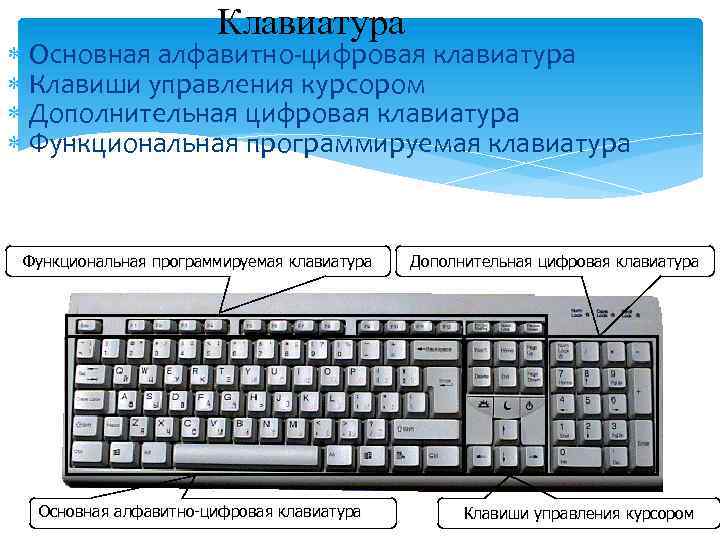 Клавиатура Основная алфавитно-цифровая клавиатура Клавиши управления курсором Дополнительная цифровая клавиатура Функциональная программируемая клавиатура Основная