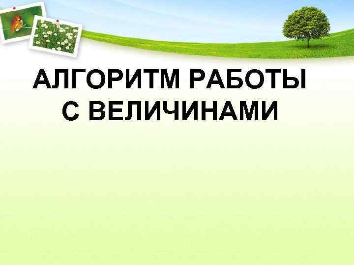 АЛГОРИТМ РАБОТЫ С ВЕЛИЧИНАМИ 