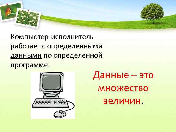Компьютер-исполнитель работает с определенными данными по определенной программе. Данные – это множество величин. 