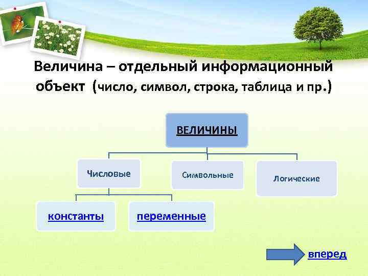 Величина – отдельный информационный объект (число, символ, строка, таблица и пр. ) ВЕЛИЧИНЫ Числовые
