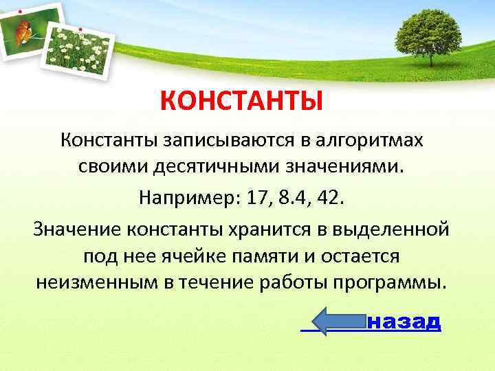 КОНСТАНТЫ Константы записываются в алгоритмах своими десятичными значениями. Например: 17, 8. 4, 42. Значение