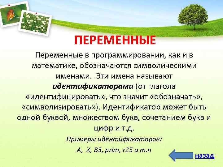 ПЕРЕМЕННЫЕ Переменные в программировании, как и в математике, обозначаются символическими именами. Эти имена называют