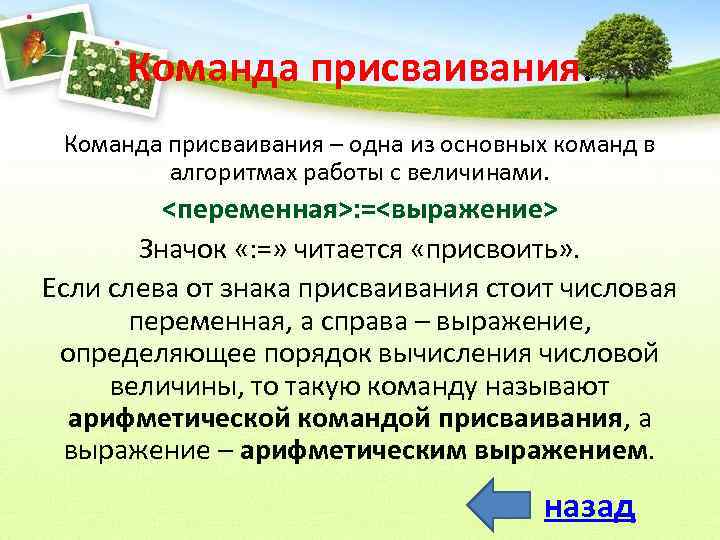 Команда присваивания – одна из основных команд в алгоритмах работы с величинами. <переменная>: =<выражение>