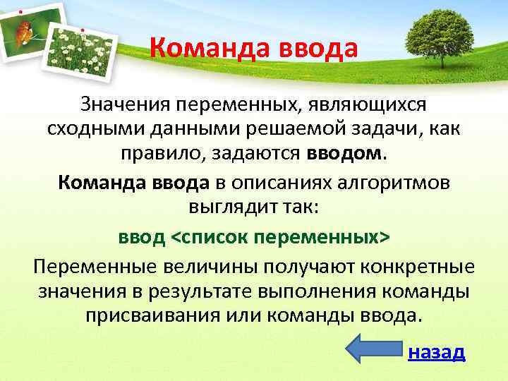 Команда ввода Значения переменных, являющихся сходными данными решаемой задачи, как правило, задаются вводом. Команда
