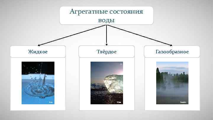 Агрегатные состояния воды Жидкое Твёрдое Pro 2 Газообразное Tillea Strokin 