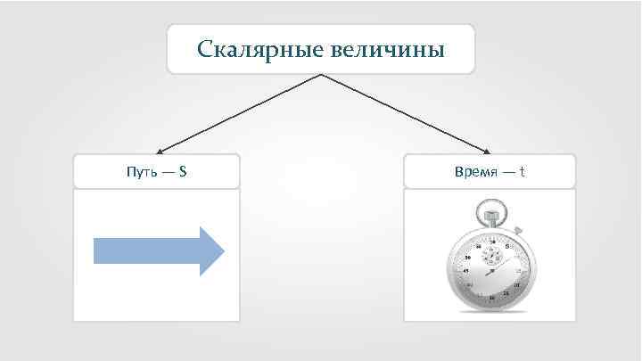 Скалярные величины Путь — S Время — t 
