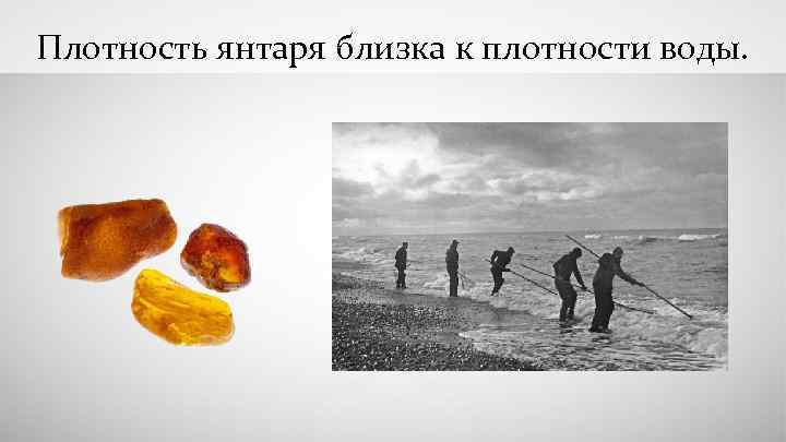 Плотность янтаря близка к плотности воды. 