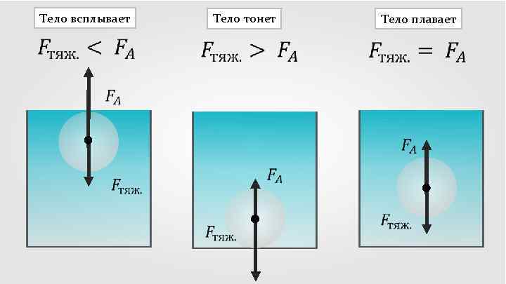 Тело всплывает Тело тонет Тело плавает 