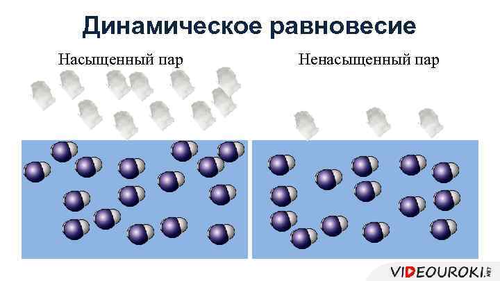 Динамическое равновесие Насыщенный пар Ненасыщенный пар 