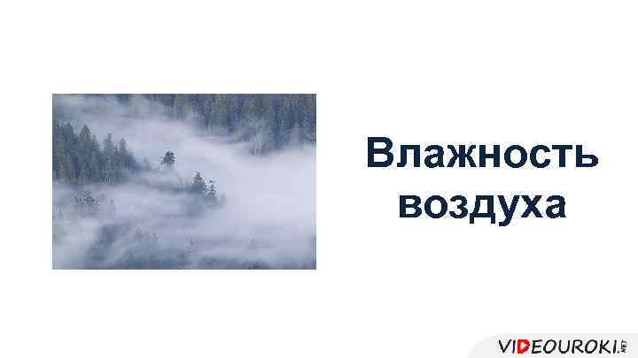 Влажность воздуха 