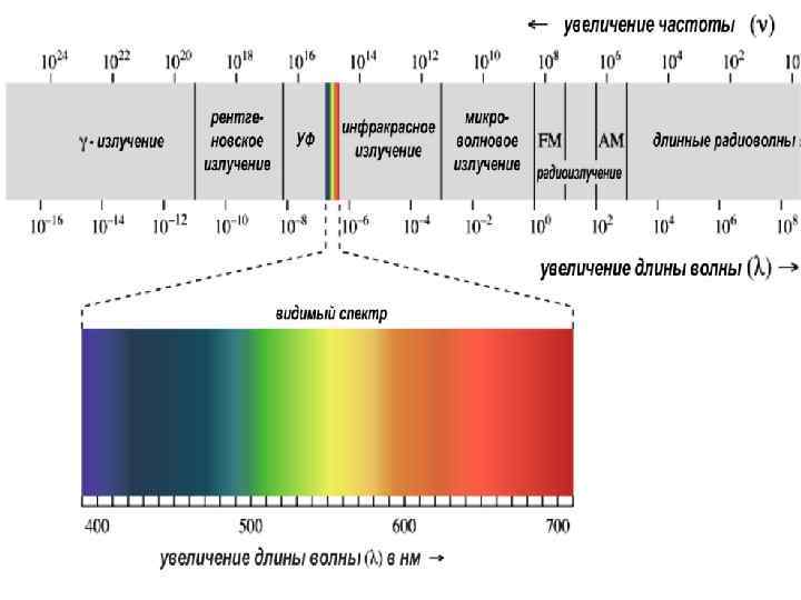 Частота видимого диапазона. Возрастание частоты в видимом спектре. Цвета по увеличению длины волны. Желтый свет длина волны. Возрастание частоты волны в видимом спектре.