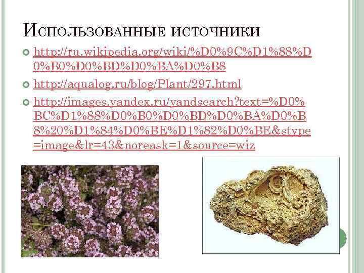 ИСПОЛЬЗОВАННЫЕ ИСТОЧНИКИ http: //ru. wikipedia. org/wiki/%D 0%9 C%D 1%88%D 0%B 0%D 0%BD%D 0%BA%D 0%B