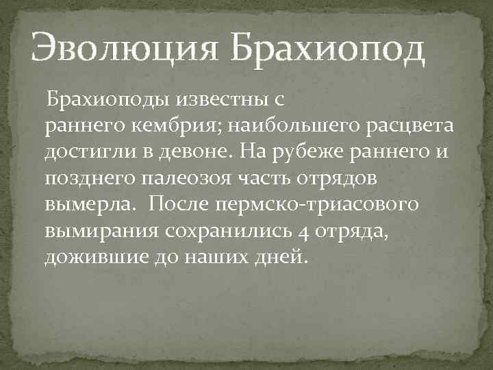 Эволюция Брахиоподы известны с раннего кембрия; наибольшего расцвета достигли в девоне. На рубеже раннего