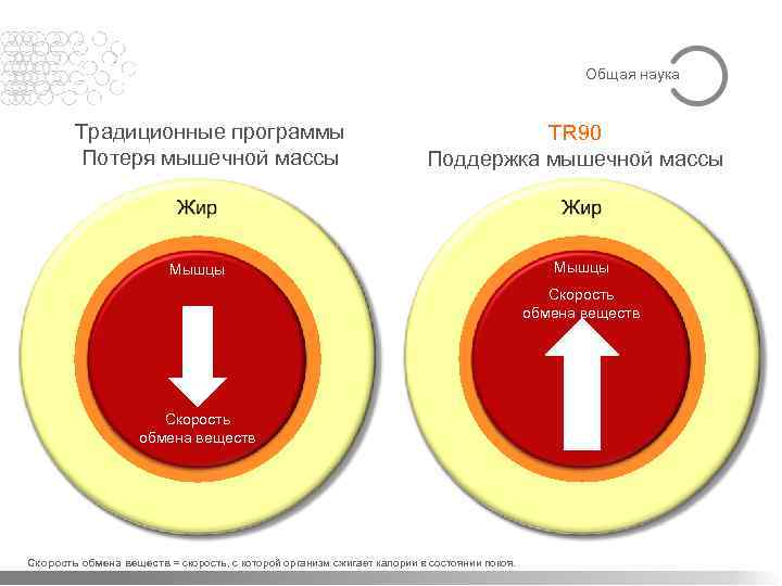 Общая наука Традиционные программы Потеря мышечной массы TR 90 Поддержка мышечной массы Мышцы Скорость