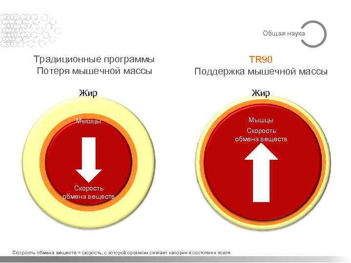 Общая наука Традиционные программы Потеря мышечной массы TR 90 Поддержка мышечной массы Жир Мышцы