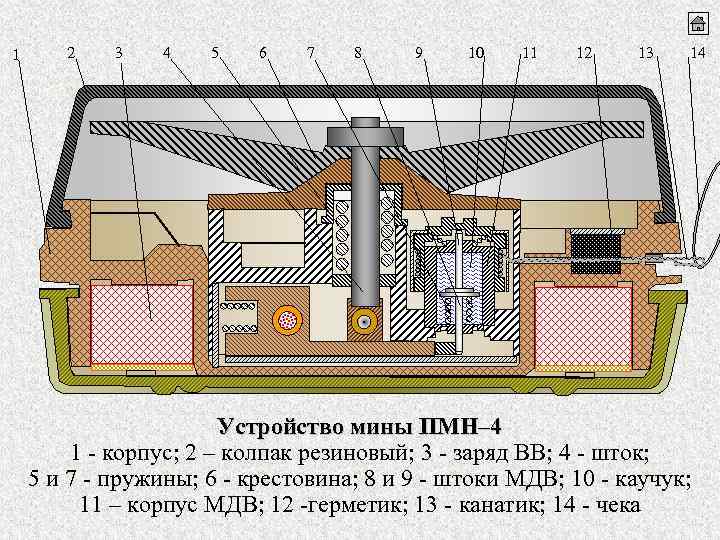 1 2 3 4 5 6 7 8 9 10 11 12 13 14