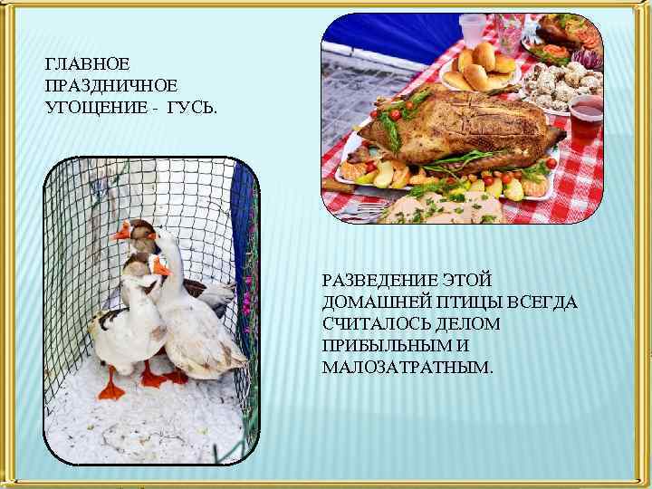 ГЛАВНОЕ ПРАЗДНИЧНОЕ УГОЩЕНИЕ - ГУСЬ. РАЗВЕДЕНИЕ ЭТОЙ ДОМАШНЕЙ ПТИЦЫ ВСЕГДА СЧИТАЛОСЬ ДЕЛОМ ПРИБЫЛЬНЫМ И