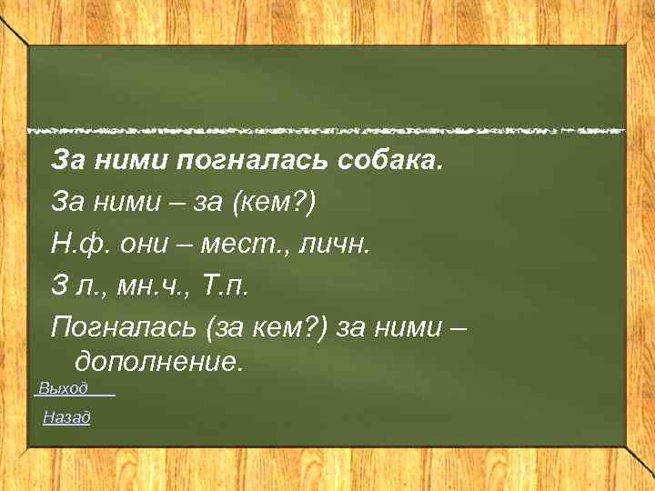 За ними погналась собака. За ними – за (кем? ) Н. ф. они –