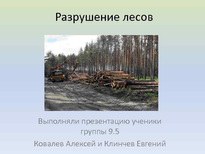 Разрушение лесов Выполняли презентацию ученики группы 9. 5 Ковалев Алексей и Клинчев Евгений 