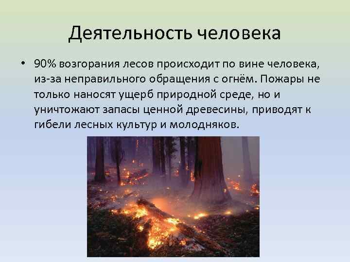 Деятельность человека • 90% возгорания лесов происходит по вине человека, из-за неправильного обращения с