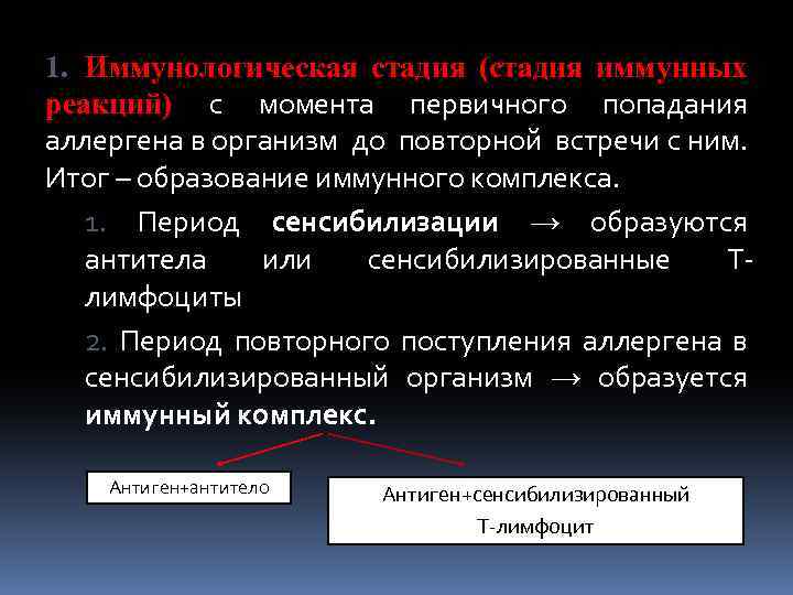 1. Иммунологическая стадия (стадия иммунных реакций) с момента первичного попадания аллергена в организм до