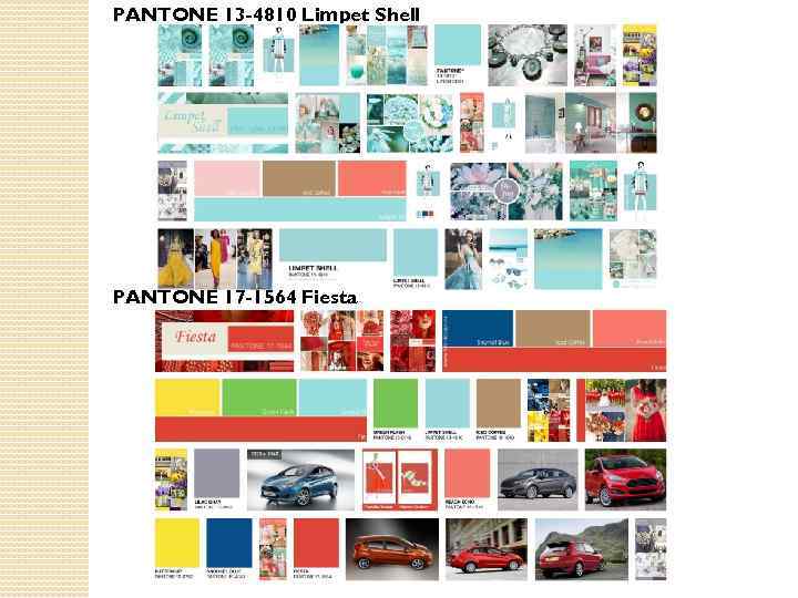 PANTONE 13 -4810 Limpet Shell PANTONE 17 -1564 Fiesta 