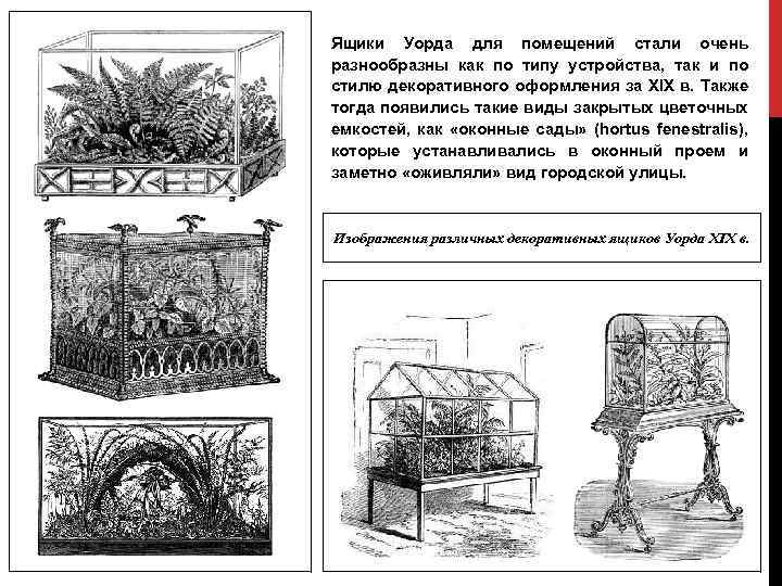 Ящики Уорда для помещений стали очень разнообразны как по типу устройства, так и по