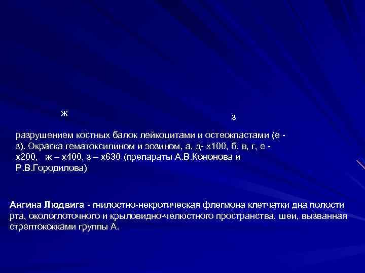 ж з разрушением костных балок лейкоцитами и остеокластами (е з). Окраска гематоксилином и эозином,